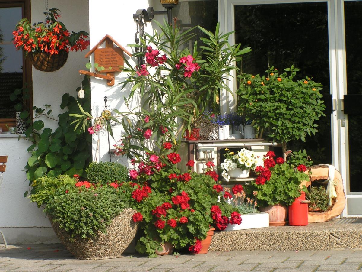 Pension Zum Ebenstein Am Donausteig Untergriesbach Luaran gambar