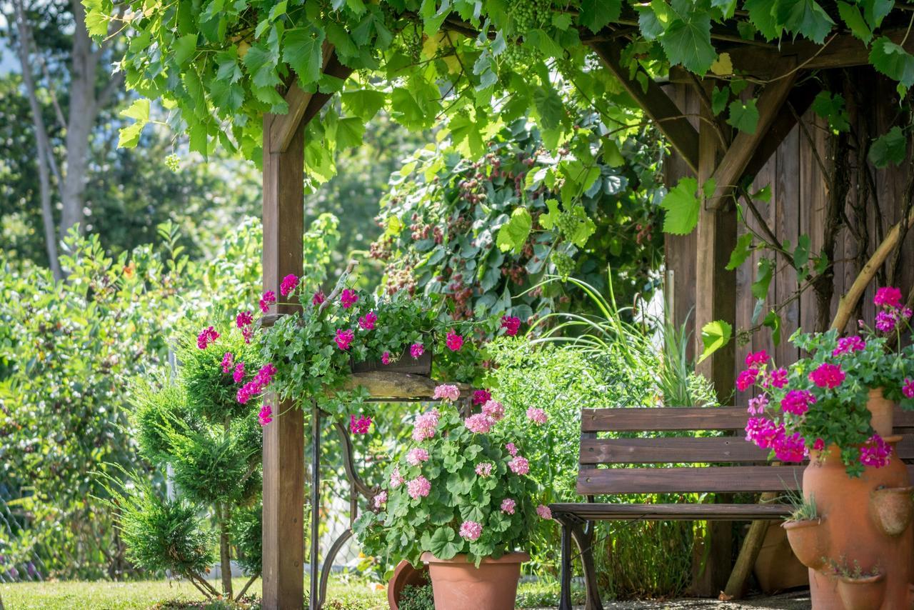 Pension Zum Ebenstein Am Donausteig Untergriesbach Luaran gambar